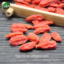 Dried goji berries jiangnanhao Goji benefits of goji berry growing goji berries